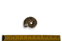 F 02092
<br/>
<br/>
<em></em>